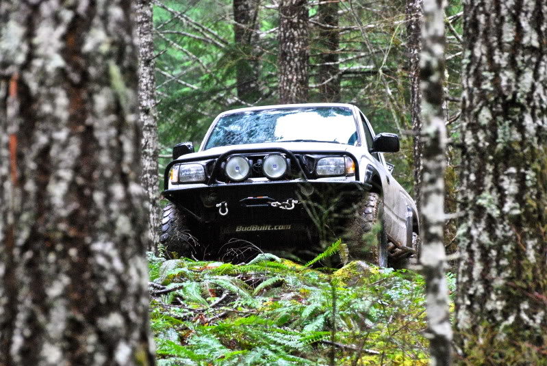 DSC_0133_8a5f570f2edd00c52249968e8dd1ea3b438f9993.jpg