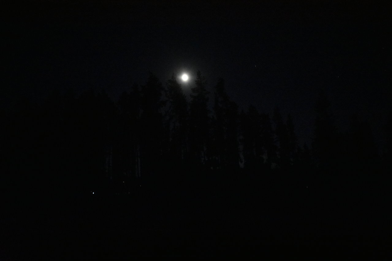 DSC_0135.jpg
