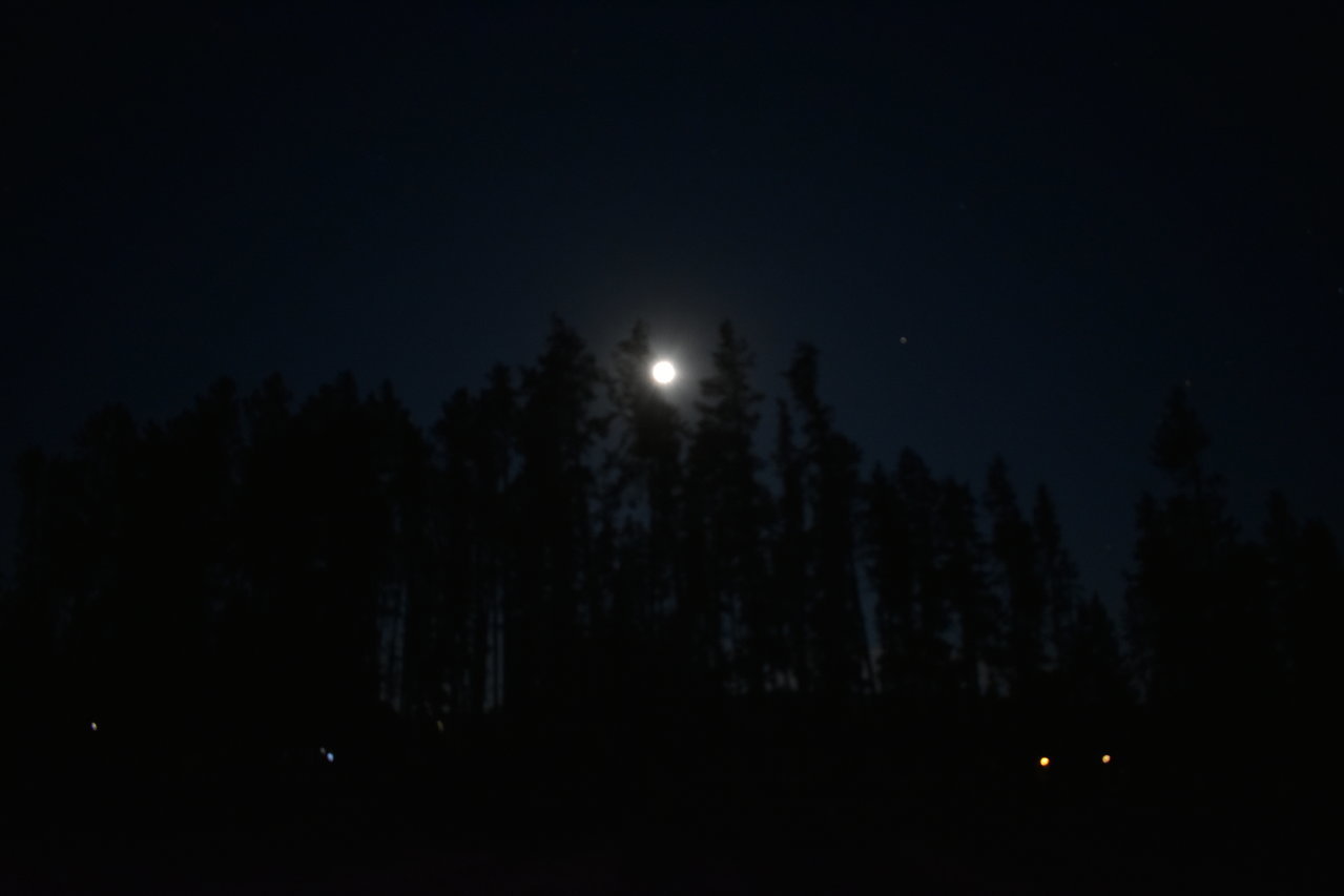 DSC_0136.jpg