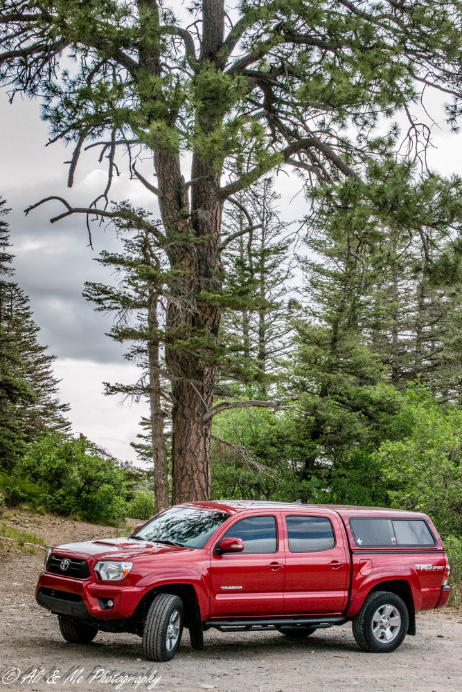 DSC_0136.jpg