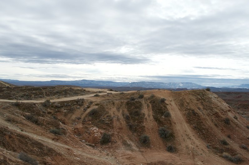 DSC_0137.jpg