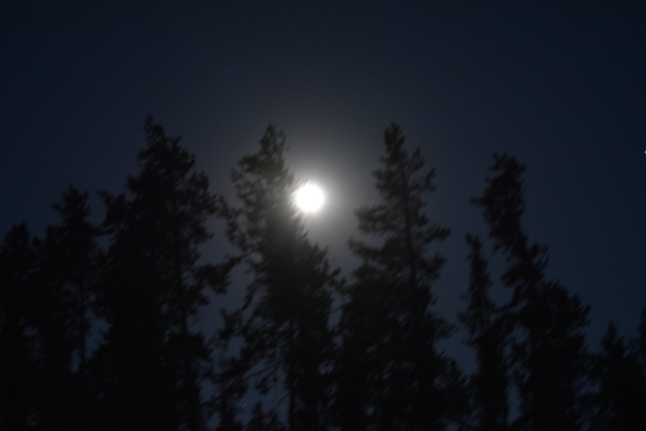 DSC_0137.jpg