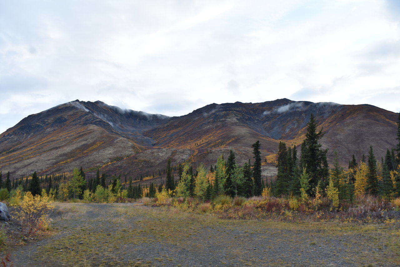 DSC_0140.jpg