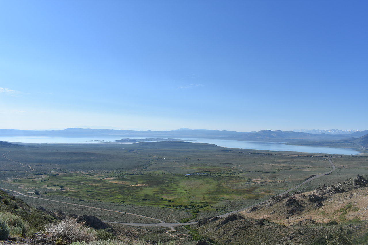 DSC_0144.jpg