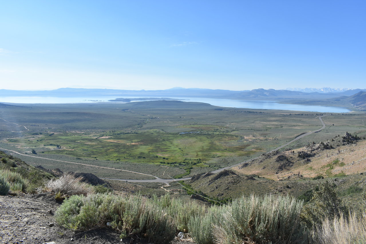 DSC_0145.jpg