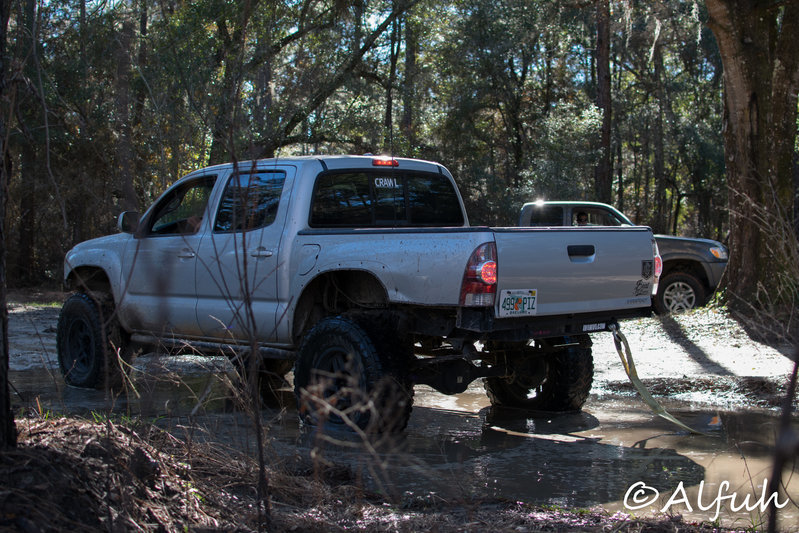 DSC_0145.jpg