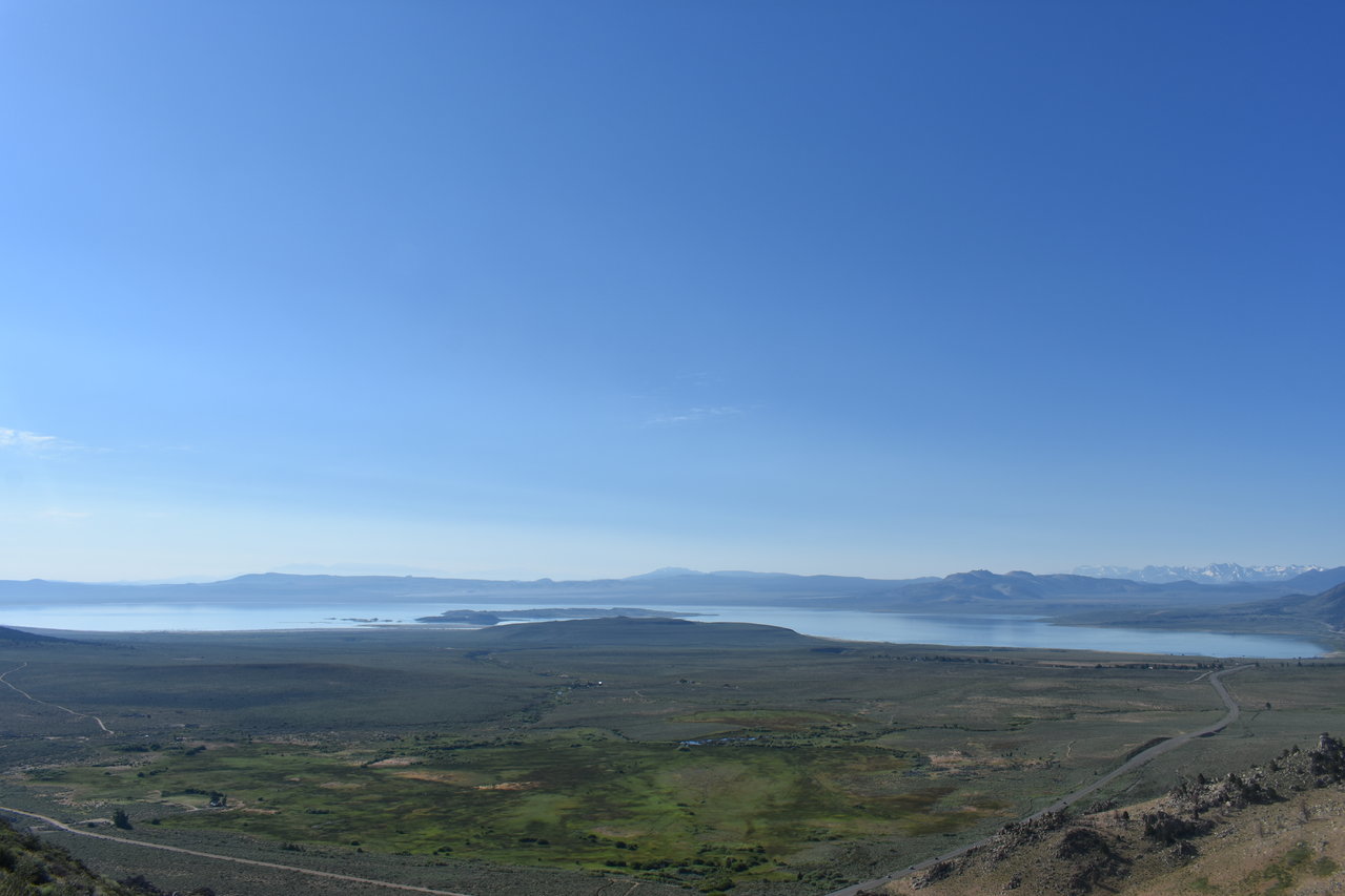 DSC_0146.jpg