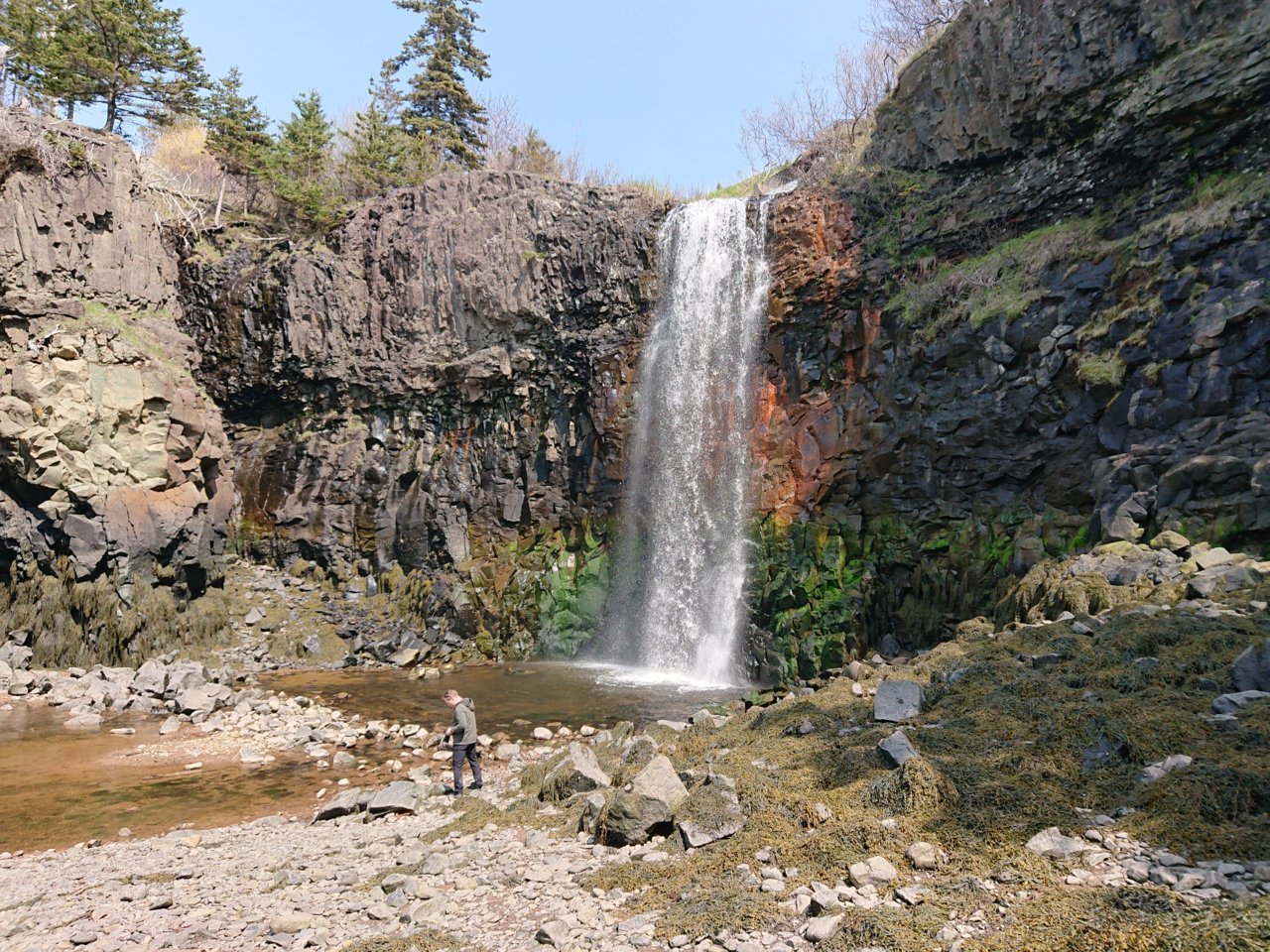 DSC_0146.jpg