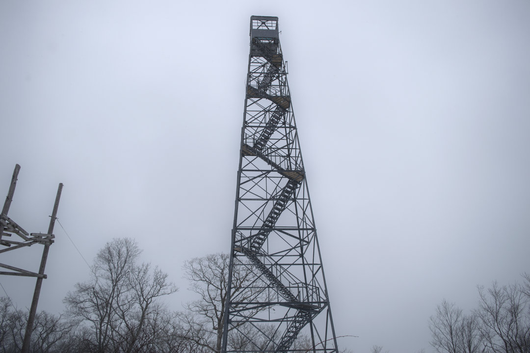 DSC_0148.jpg