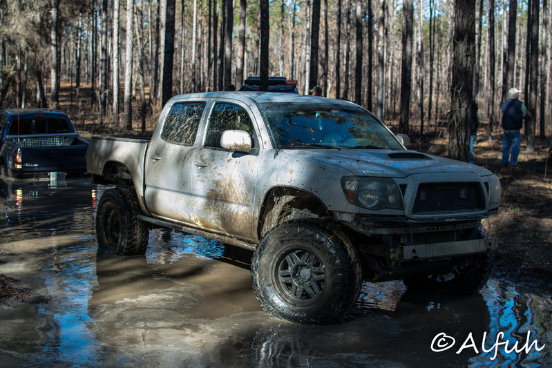 DSC_0152.jpg