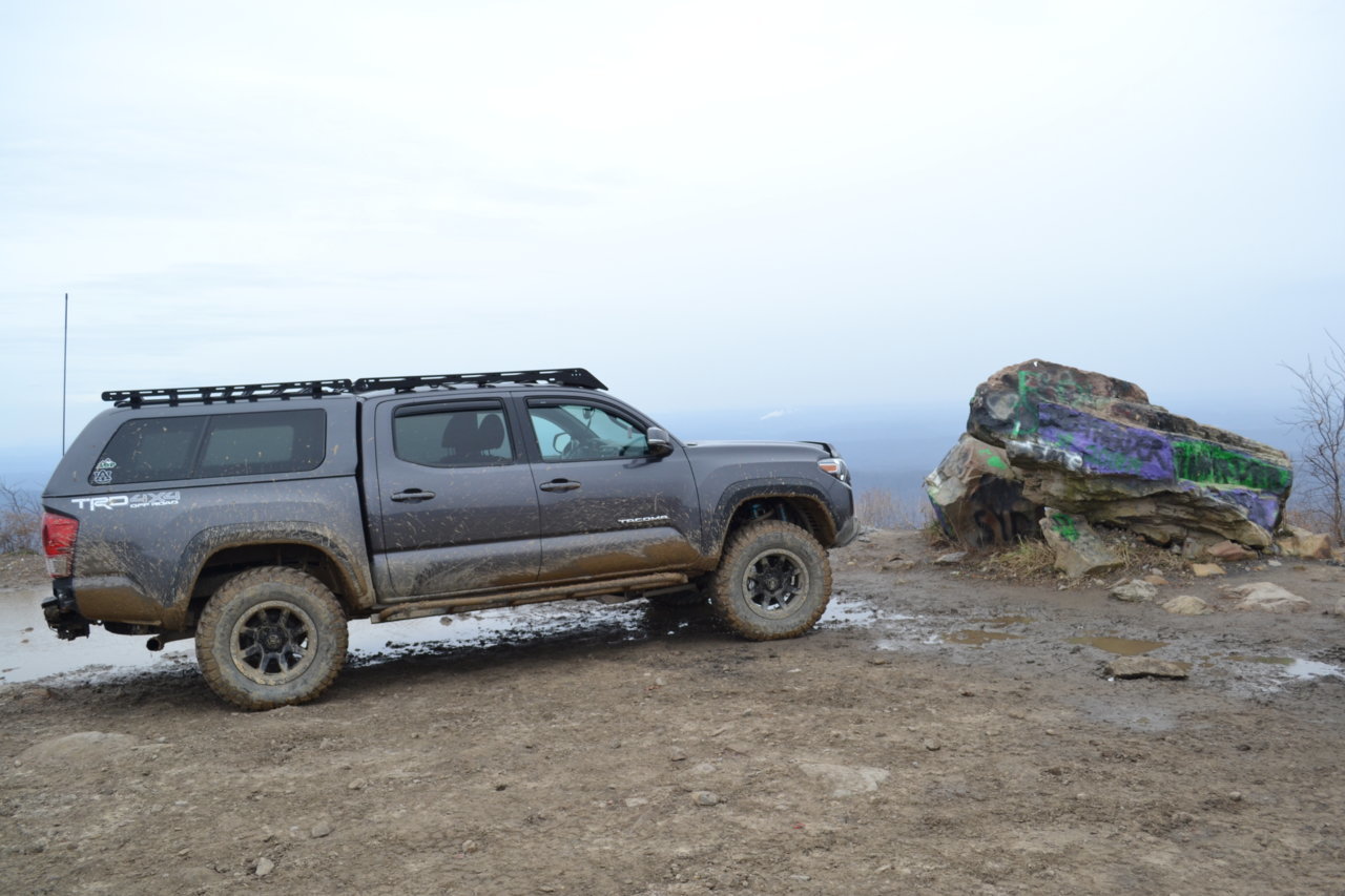 DSC_0154.jpg