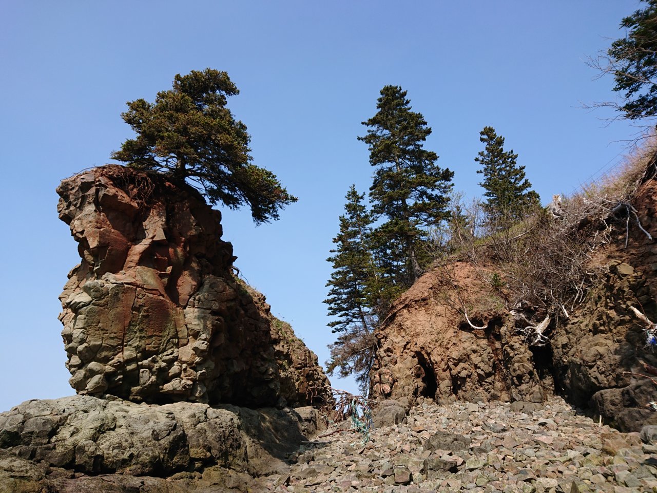 DSC_0159.jpg