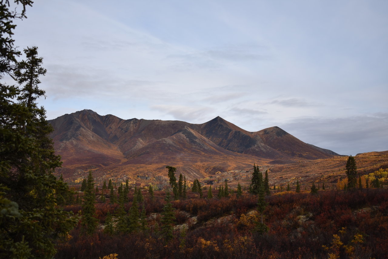 DSC_0159.jpg