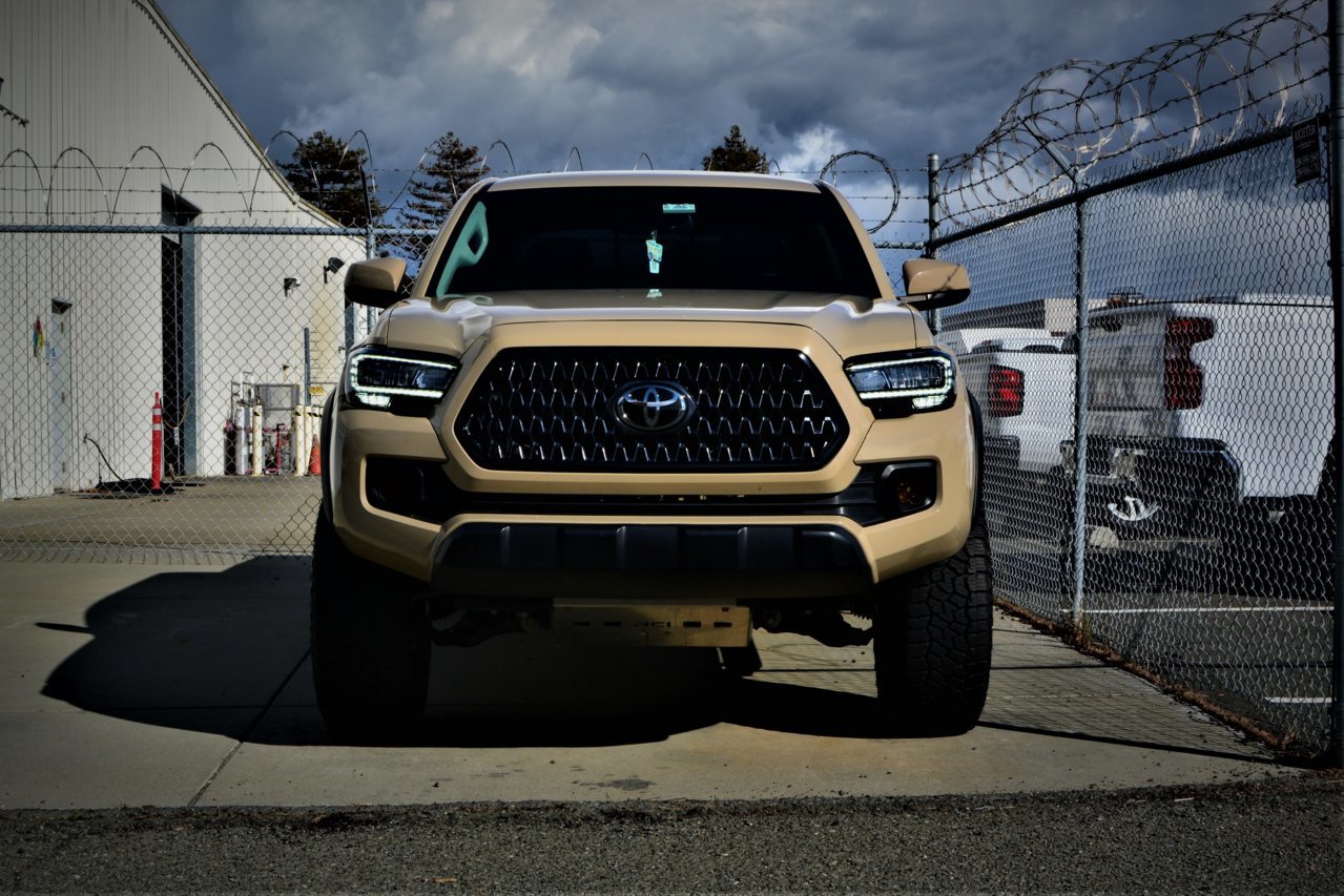 DSC_0161.2 (1).jpg