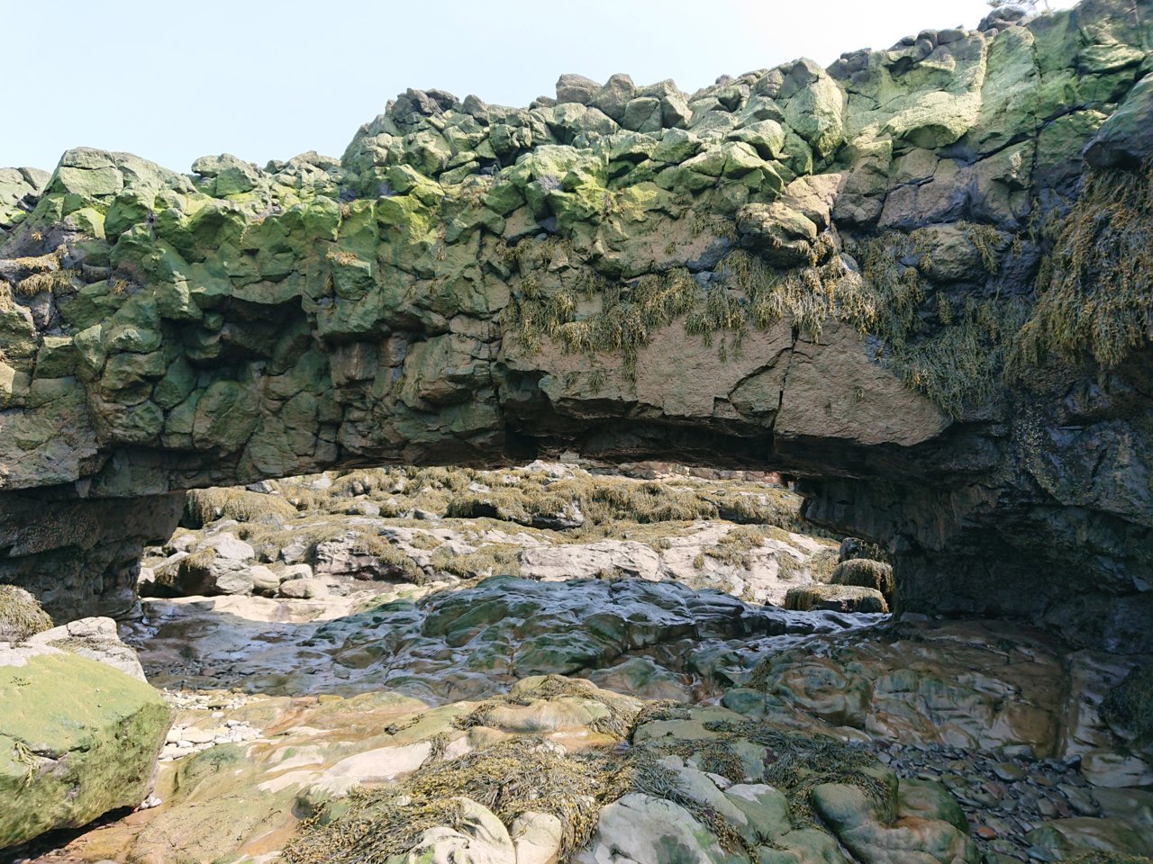 DSC_0165.jpg