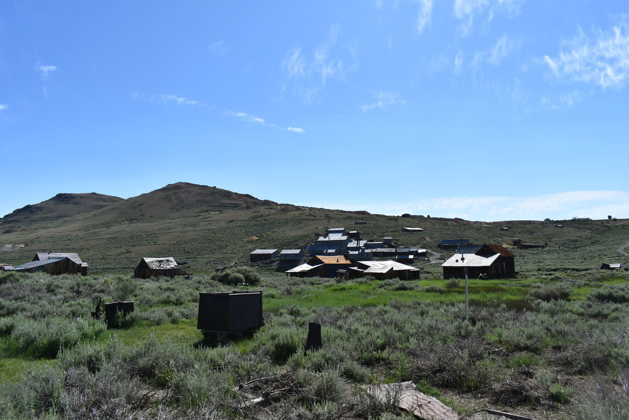 DSC_0166.jpg