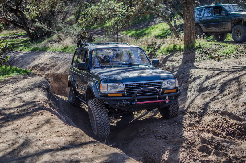 DSC_0166.jpg