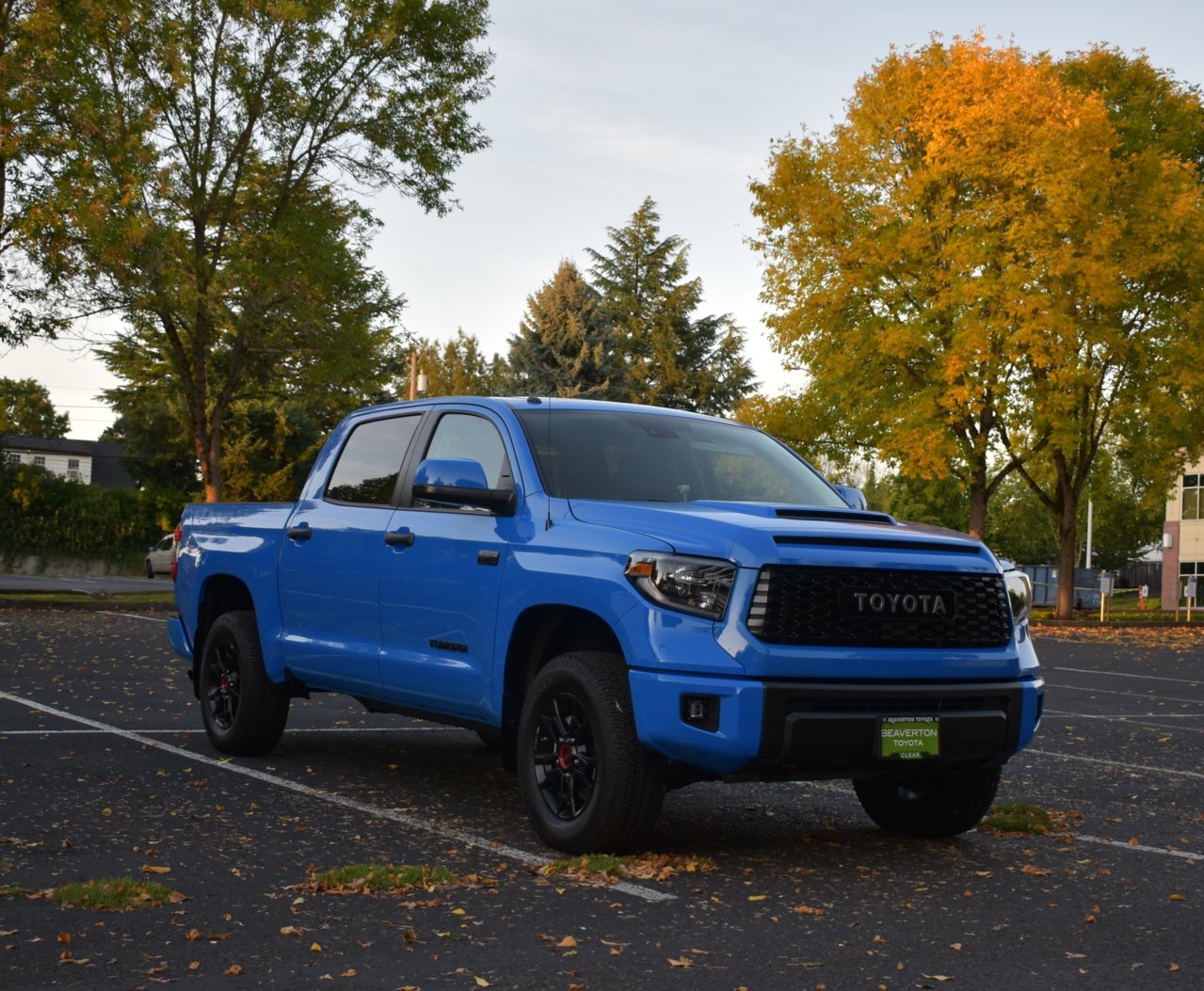 DSC_0167 (2).jpg