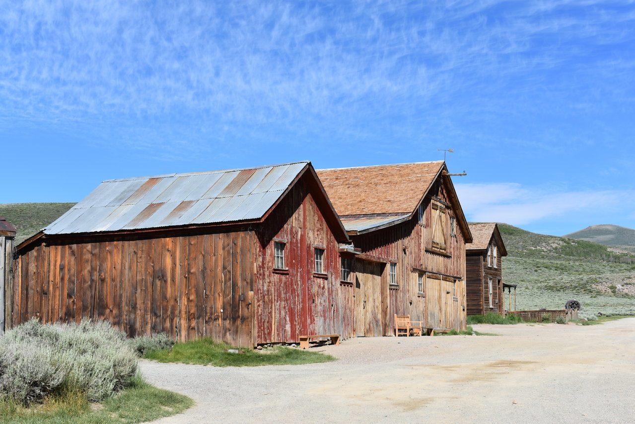 DSC_0168.jpg
