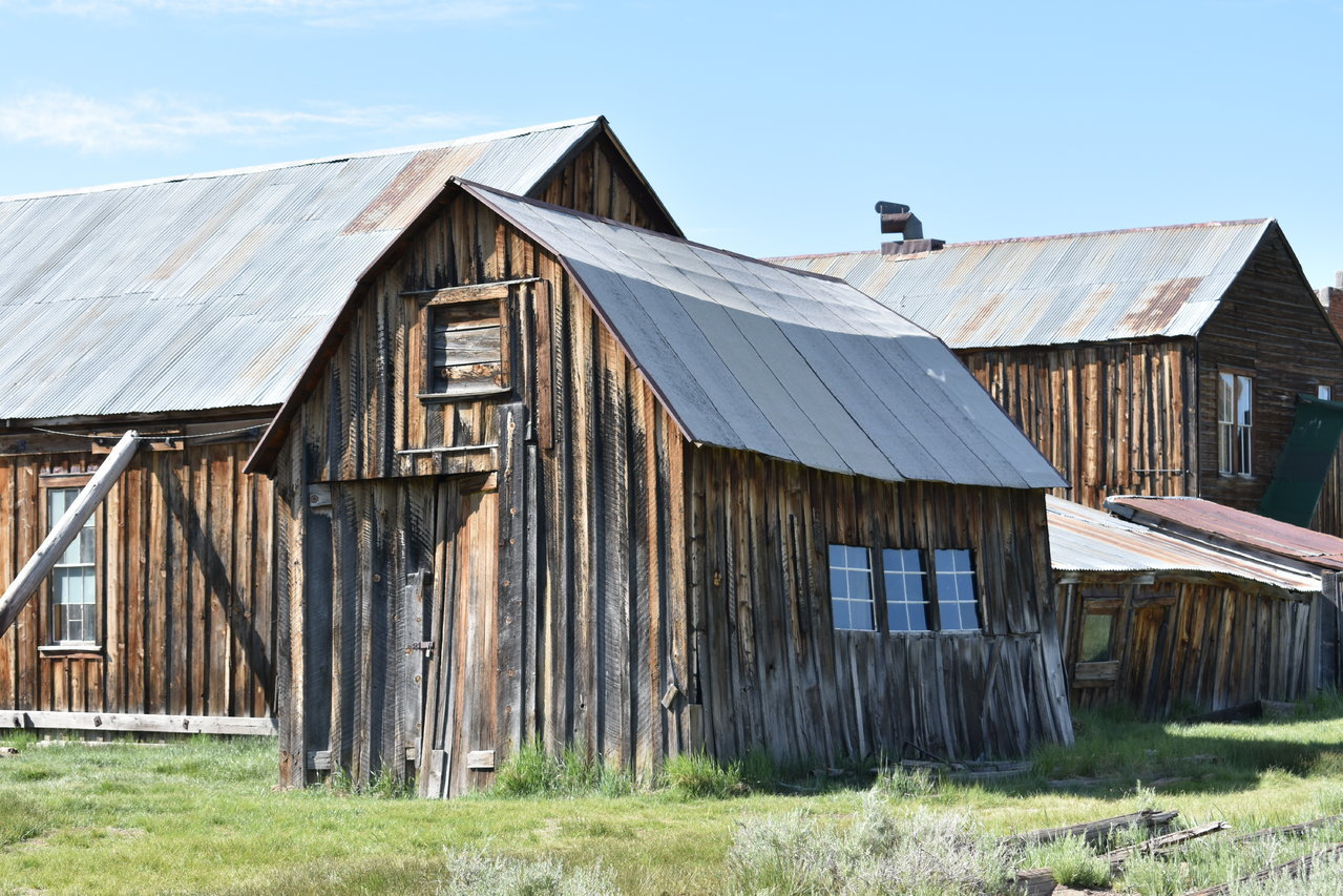 DSC_0169.jpg