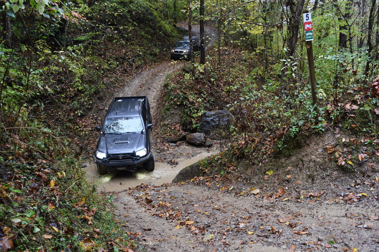 DSC_0174.jpg