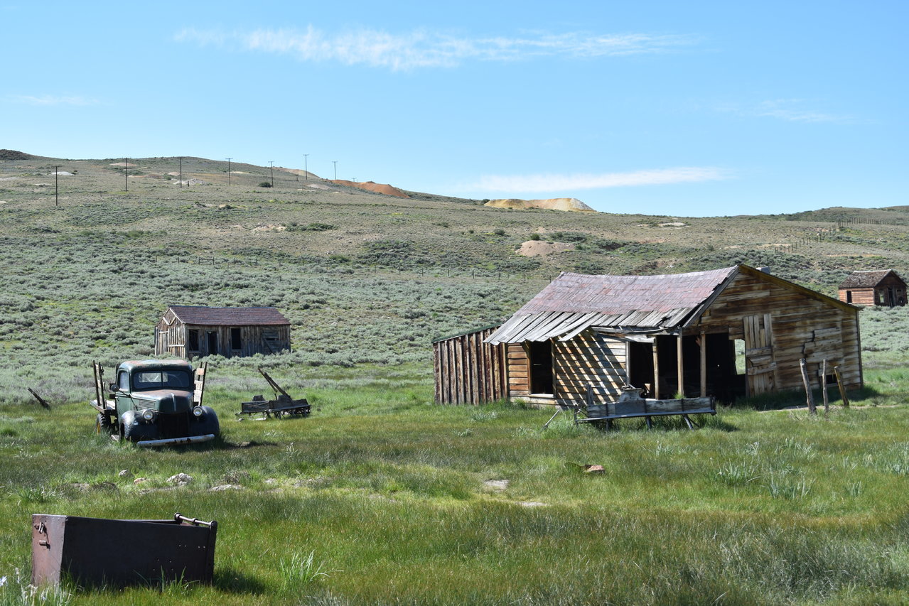 DSC_0176.jpg