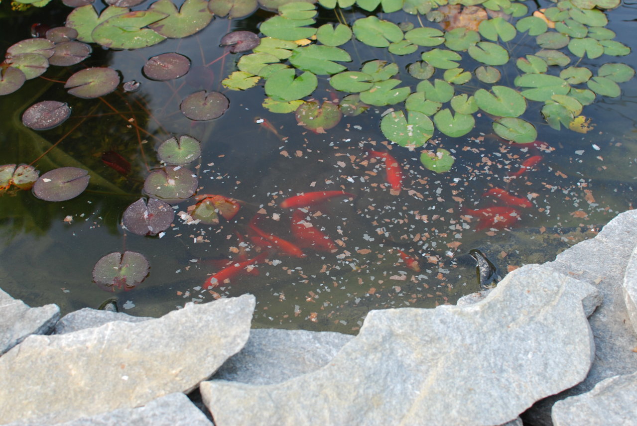 DSC_0177.jpg