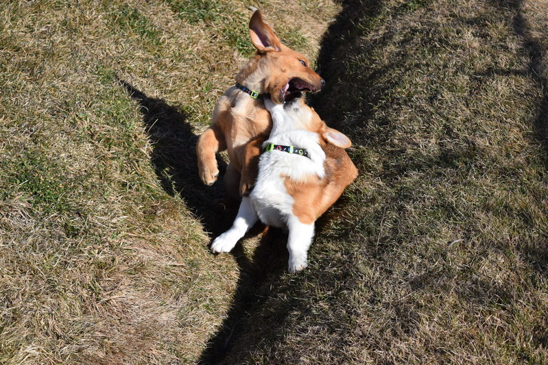 DSC_0177.jpg