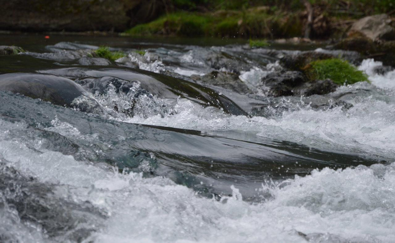 DSC_0178.jpg