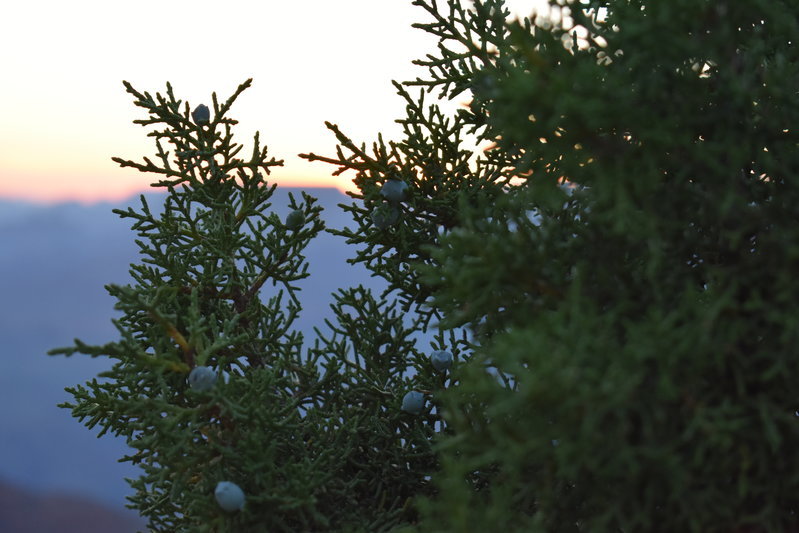 DSC_0179.jpg