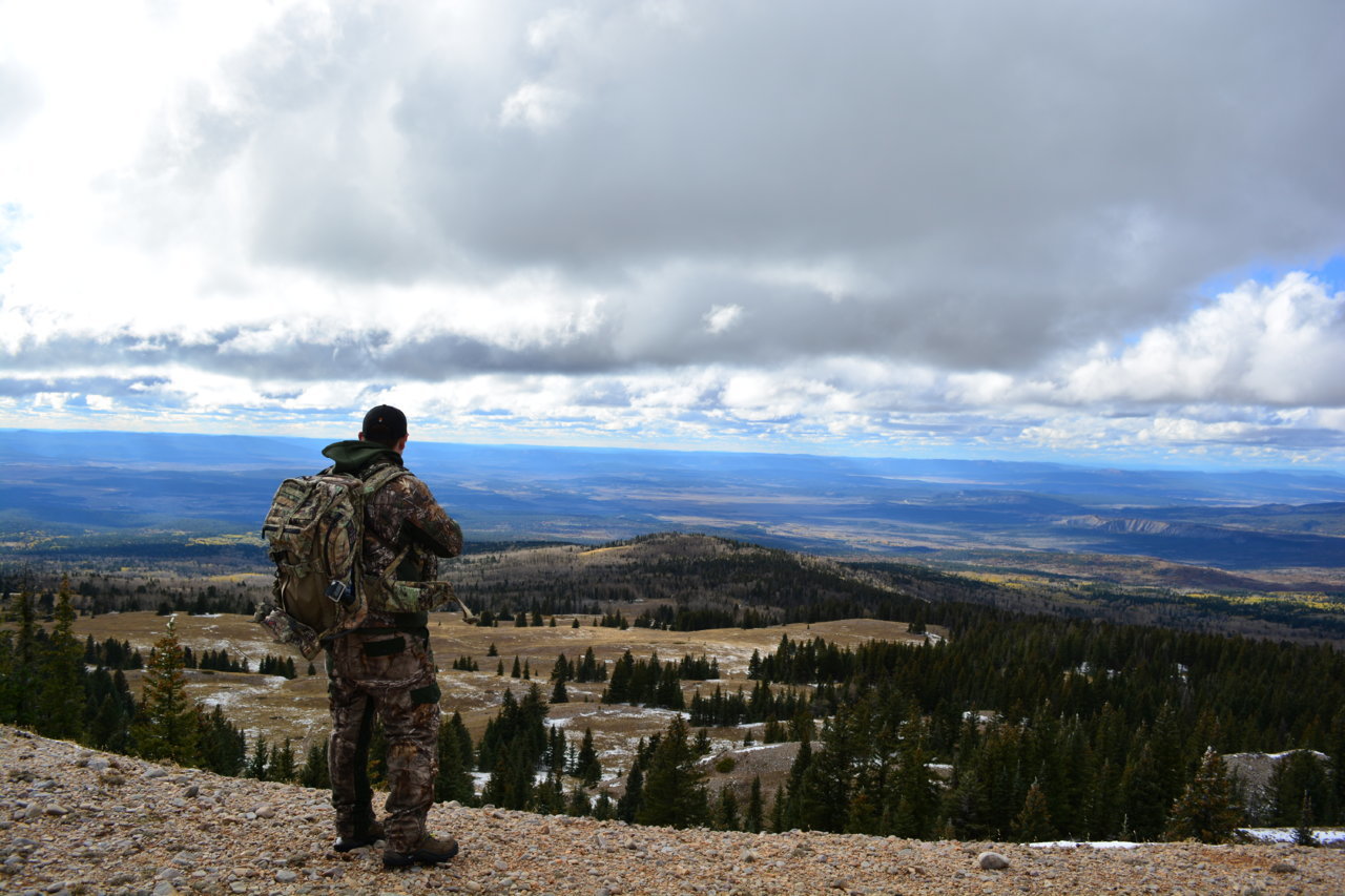 DSC_0180.jpg