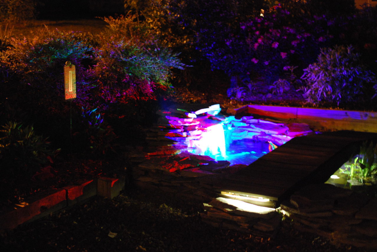 DSC_0181.jpg