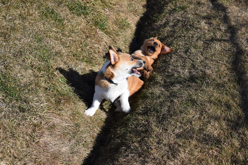 DSC_0181.jpg