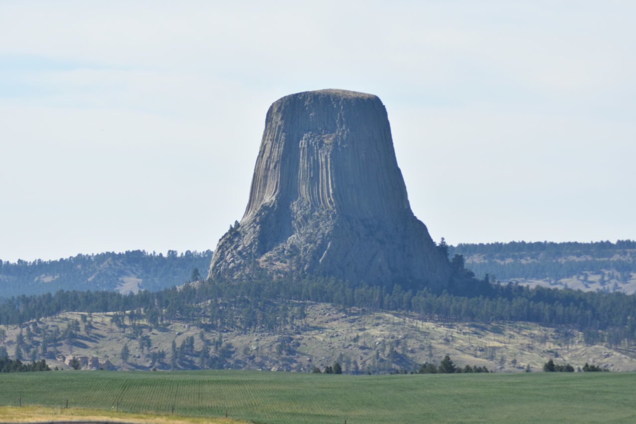 DSC_0183.jpg