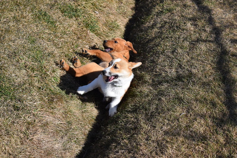 DSC_0183.jpg