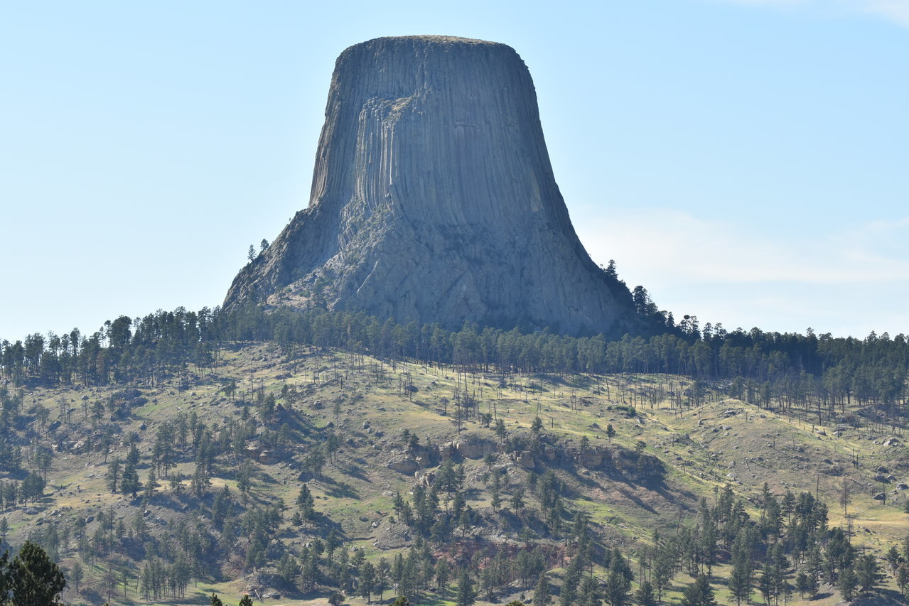 DSC_0184.jpg