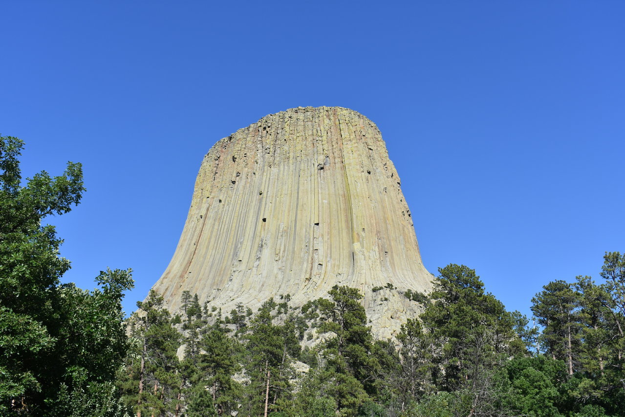 DSC_0185.jpg