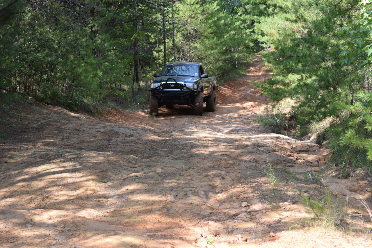 DSC_0185.jpg