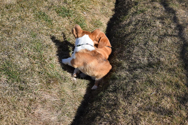 DSC_0185.jpg