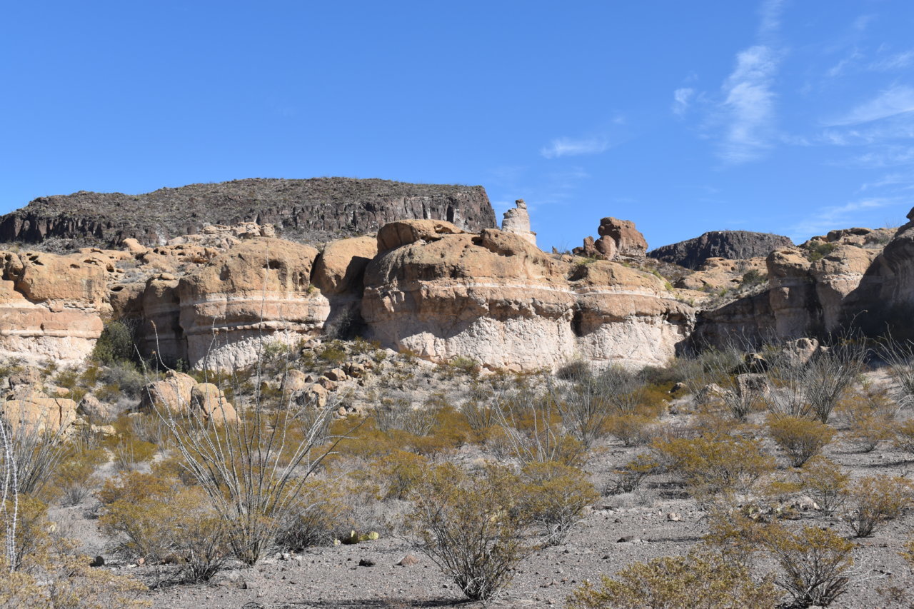 DSC_0186.jpg