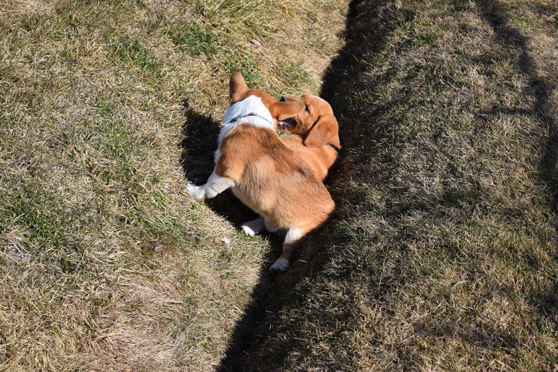 DSC_0186.jpg