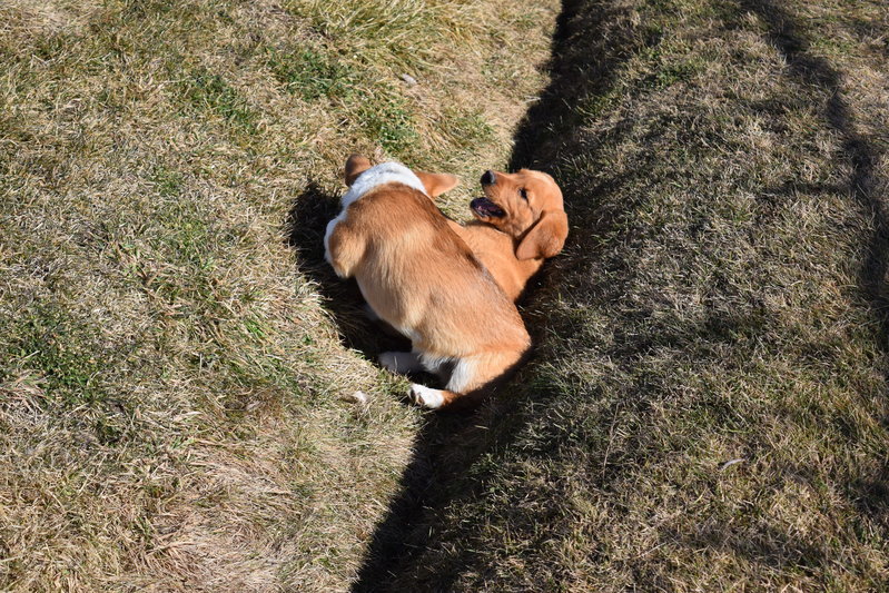 DSC_0187.jpg