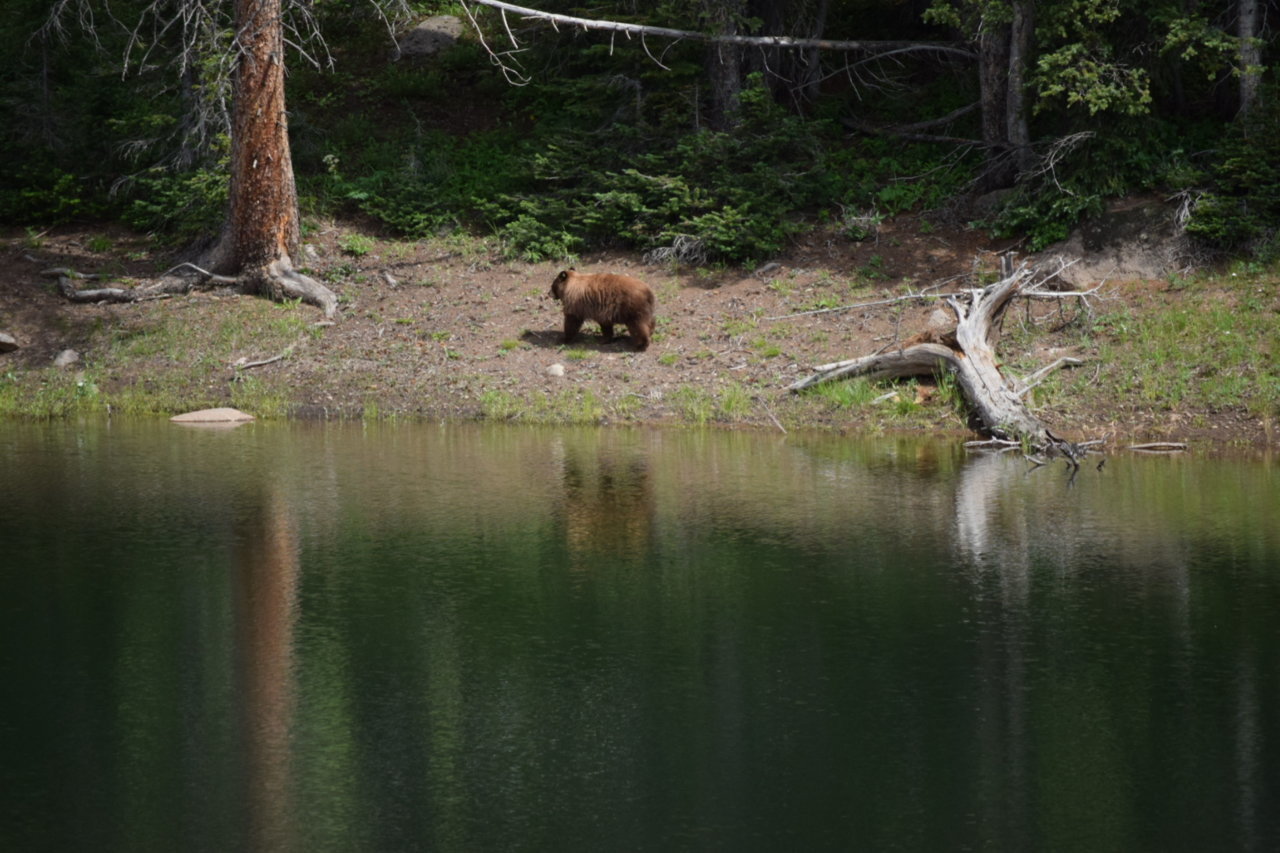 DSC_0188.jpg