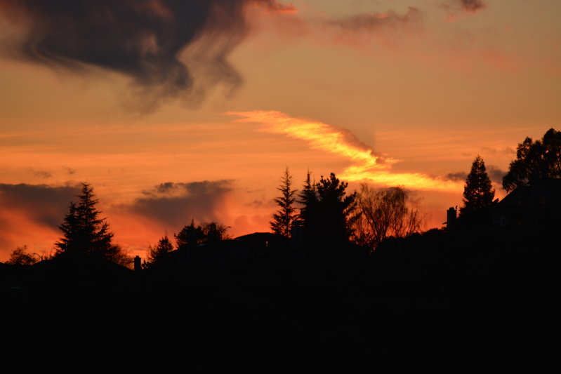 DSC_0188.jpg