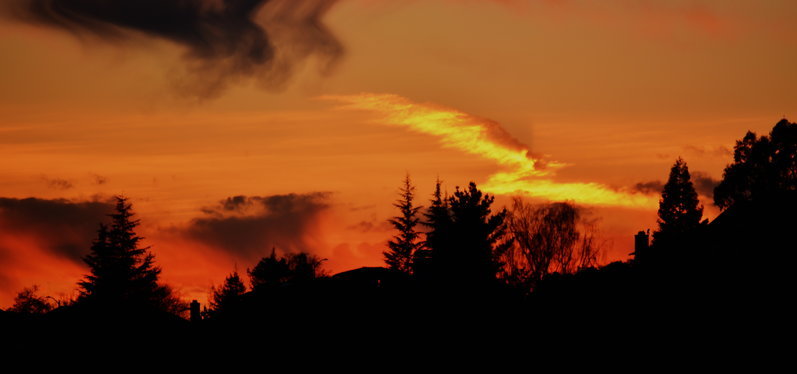 DSC_0188sun3.jpg