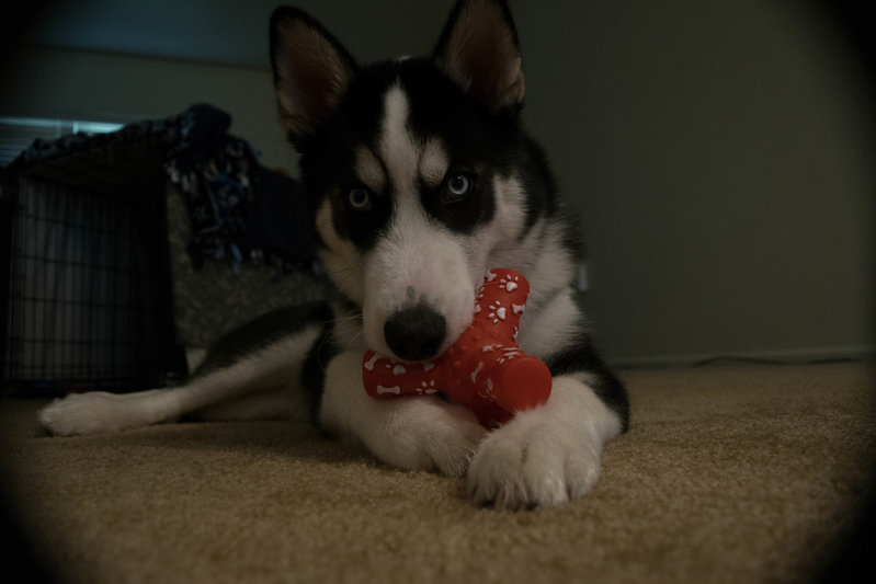 DSC_0191.jpg
