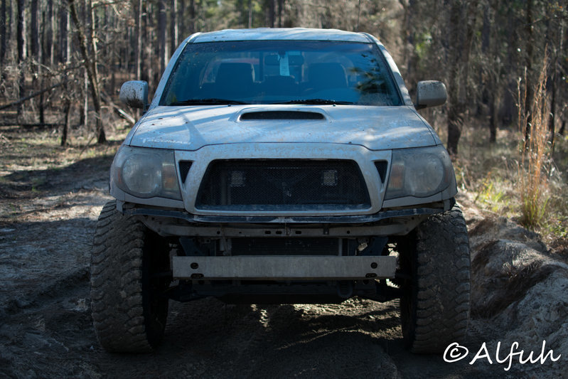 DSC_0193.jpg