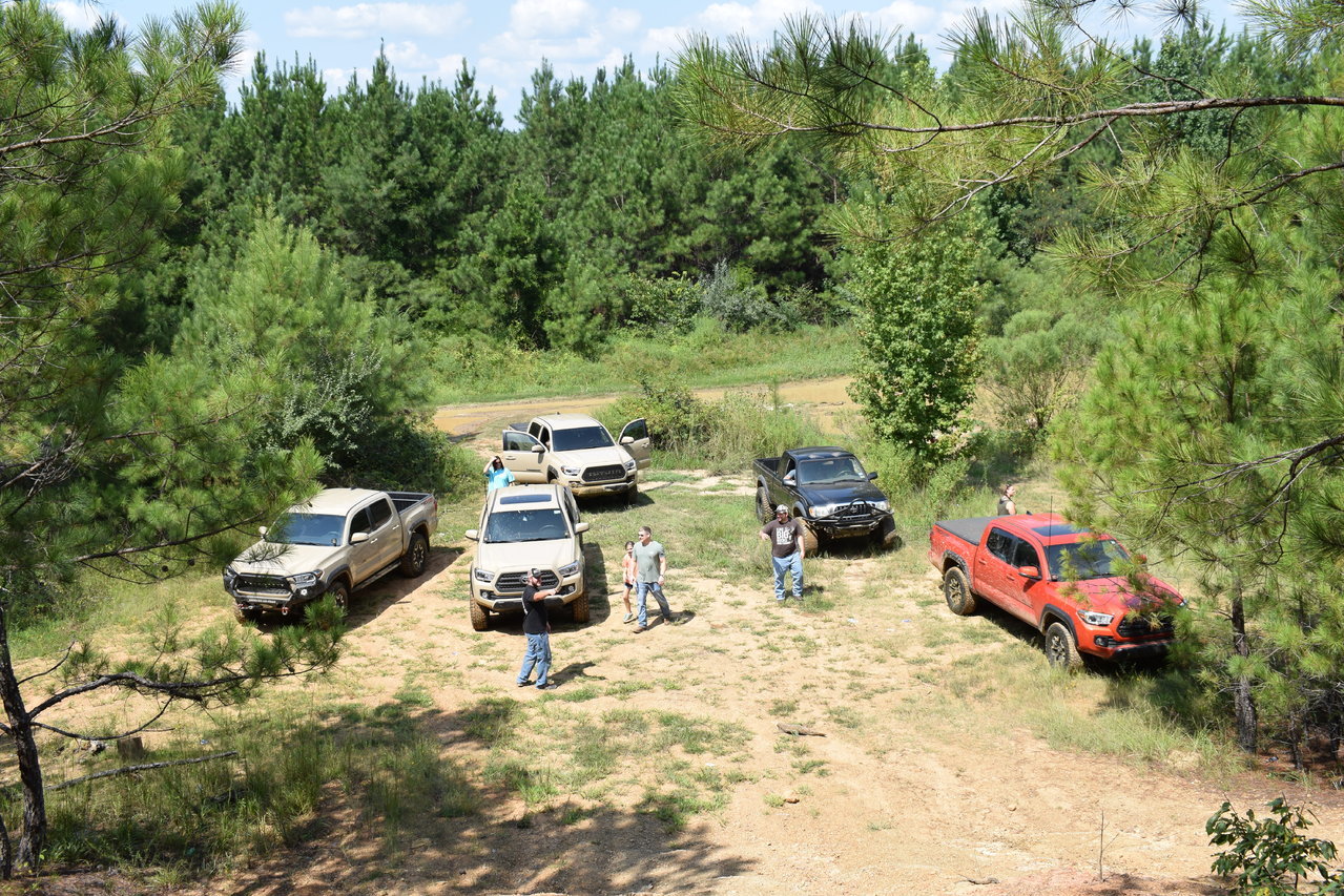 DSC_0194.jpg