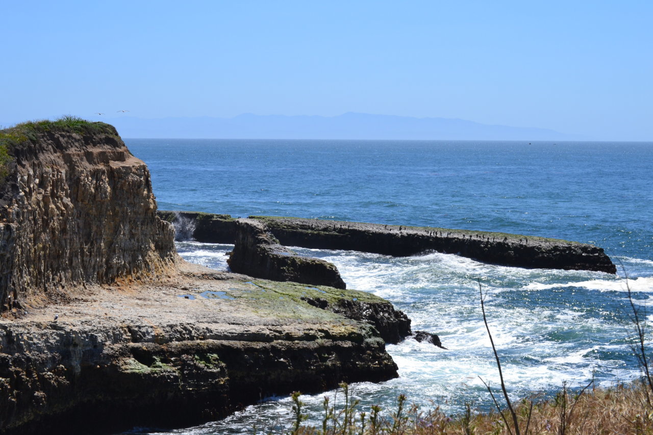 DSC_0194.jpg