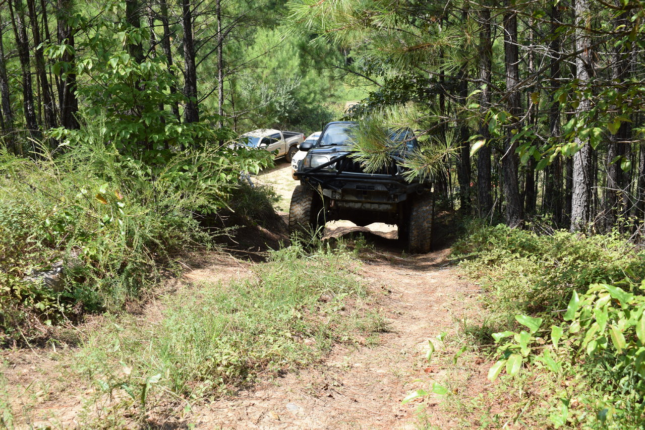 DSC_0195.jpg